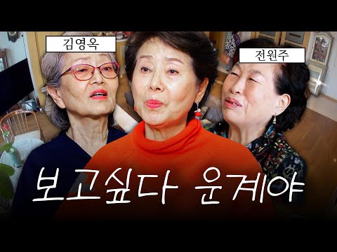 오랜만에 만난 50년 지기와 수다를 떨어본 81세 선우용여  (+김영옥, 전원주)｜#모던패밀리 #선우용여