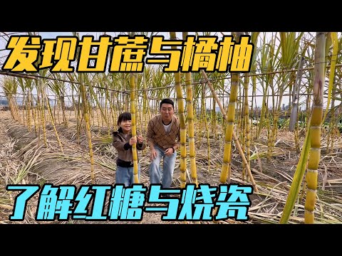 房车旅行发现甘蔗与大片橘柚园，穿越乡野了解红糖与烧瓷，一路都是惊喜【家和远方的旅行】