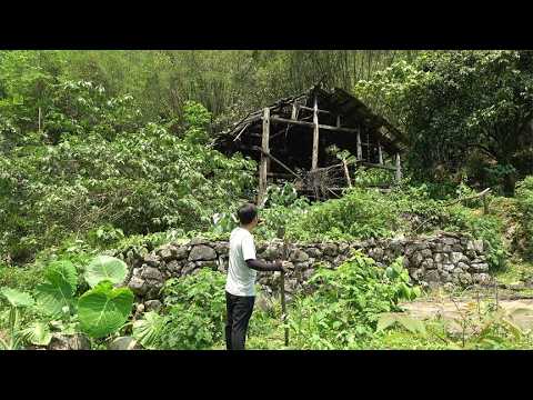 Bored of Hustle Life ~ Man Leaving City Renovated Old House in the Mountains and Lived Free Life