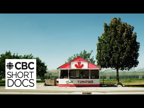 The Ketchup War: How Heinz & French’s turned the ‘Tomato Capital of Canada’ into a battleground