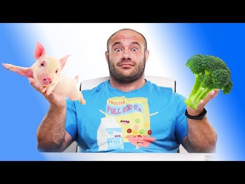 10 Reasons Why Going Vegan Is A Good Idea