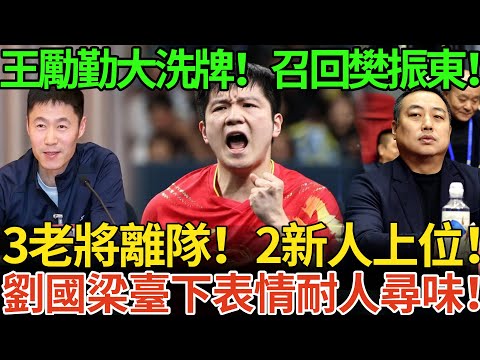 全運會落幕王勵勤大洗牌！召回樊振東！3老將離隊！2新人上位！劉國梁臺下表情耐人尋味！