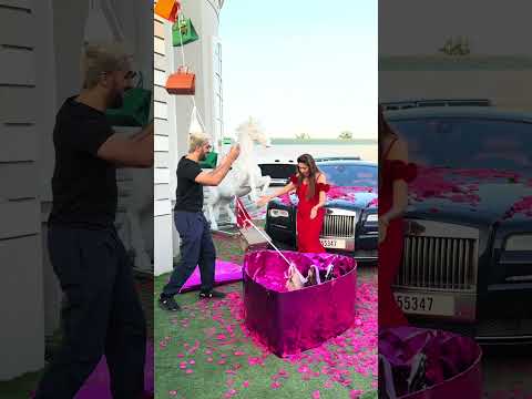 Expensive Valentines Gone Wrong  💔