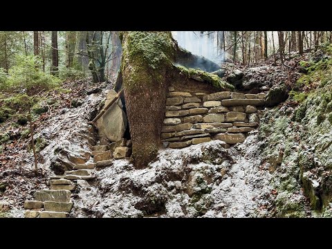 Building a secret warm survival shelter under the root of a large tree, cozy bushcraft cave