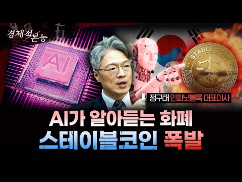 AI가 돈을 쓴다? 스테이블코인이 ‘머니 리셋’을 부르는 이유ㅣ정구태 인피닛블록 대표이사 [경제적본능]