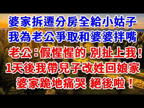 婆家拆遷分房全給小姑子，我為老公爭取和婆婆拌嘴，老公：假惺惺的 別扯上我！1天後我帶兒子改姓回娘家，婆家跪地痛哭絕後啦！#思妤說故事#為人處世#生活經驗#情感故事#晚年哲理#說故事#完結文#原創故事