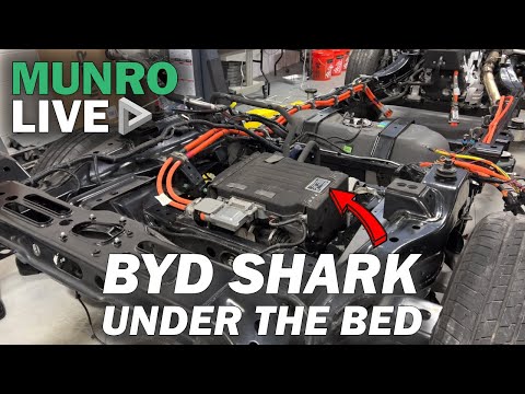 There's a Monster Under the Bed of the BYD Shark!
