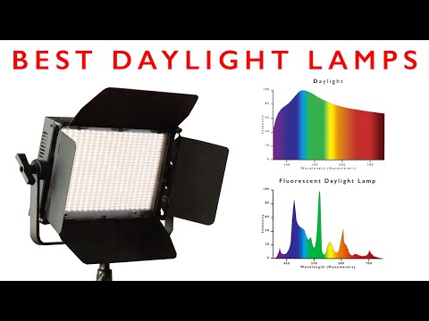How to Light Your Studio for Oil Painting