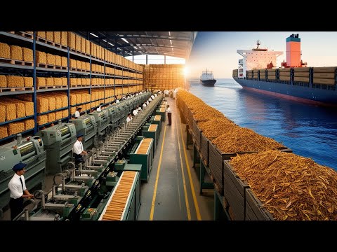 2 Horas de increíbles procesos de fabricación Industrial