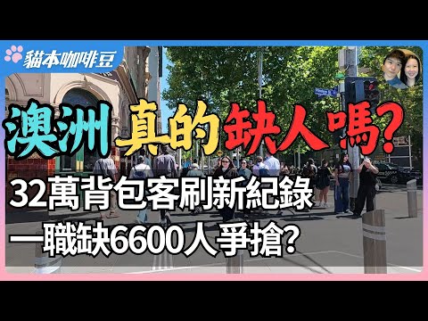 6600人抢一份工作，澳洲真的缺人吗？| 32万背包客涌入，本地人却投300份简历无回覆 | 当澳洲变成全球年轻人的避风港，移动潮背后牺牲了谁？| 澳洲与新西兰的移民生活深度分享 | 猫本咖啡豆