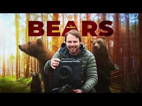 I Spent 30 Days With Bears In Remote Alaska. It Didn't Go As Planned