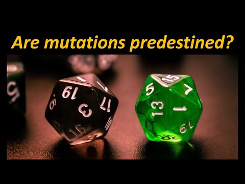 Mutations are not as random as you think