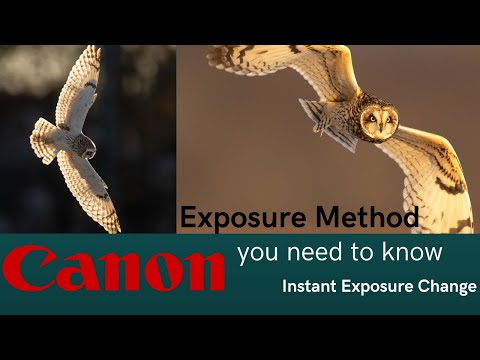 Canon R5II and R1 Exposure Method you Need to Know
