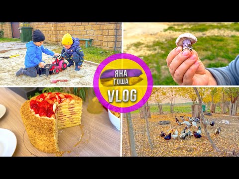 Blue Crimean mushroom. What is it? Friends visiting. Went to the farm. Cake.