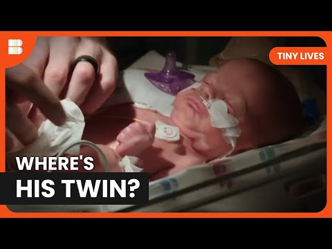 Premature Twins Fight for Life at 26 Weeks