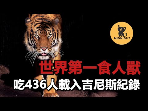 食人獸之王，極度憎恨人類的恐怖老虎，查姆帕瓦特的天災