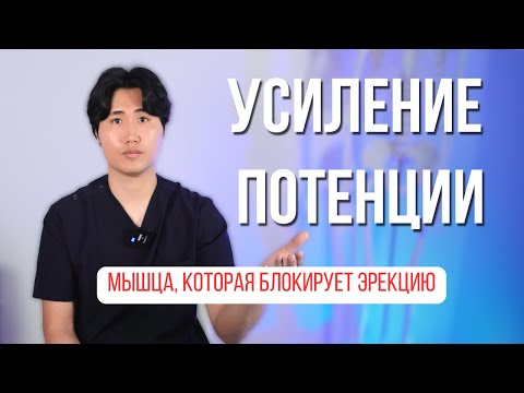 Enhanced potency. This muscle blocks erections. Freeing the pudendal nerve.