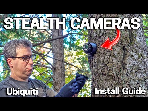 How I Install Ubiquiti Cameras In Trees & Why