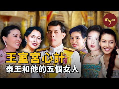 【王室系列】王妃上位100天就被廢？跟情人公開穿情侶露臍裝？泰國國王和他的後宮「甄嬛傳」  | Wayne調查