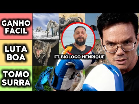 ANIMAIS QUE EU VENCERIA NO SOCO (TIERLIST 100% CIENTÍFICA) ft @biologohenriqueoficial