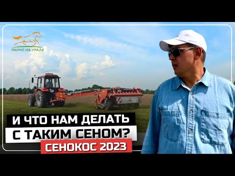 Сенокос 2023 | Такого сюжета на полях еще не было | Деревенские будни