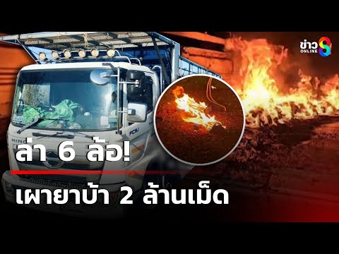 ล่า 6 ล้อ! เผายาบ้า 2 ล้านเม็ด | 27 ก.พ. 68 | เช้านี้ขยี้ข่าวช่อง8