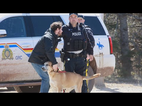 How investigators will process Nova Scotia's 16 crime scenes