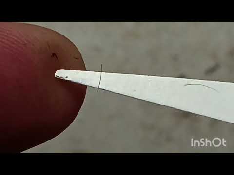 Заточка ножниц,вернее формирование.