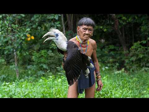Borneo Death Blow - Full Documentary