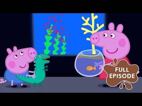 Peppa Pig Goes To The Aquarium! | Cartoons for Kids | Full Episode | Peppa Pig Videos