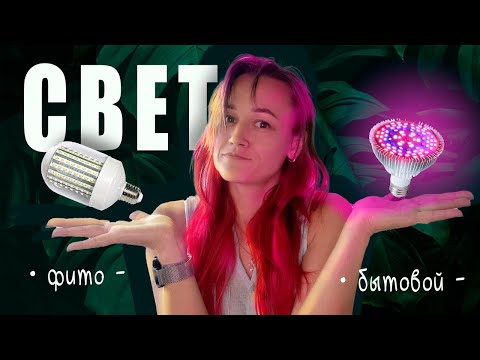 Нужна ли ПОДСВЕТКА для растений? / ФИТО-лампы или БЫТОВЫЕ — как выбрать?