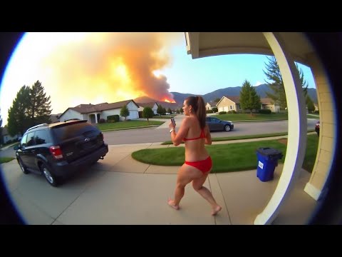 Incredible Moments Caught on Camera