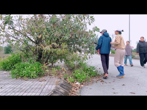 Why do cities pave sidewalks but still allow overgrown trees and grass to block walkways?