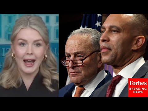 'Democrats Don't Have A Single Clue About How To Make America More Affordable': Leavitt Rips Dems