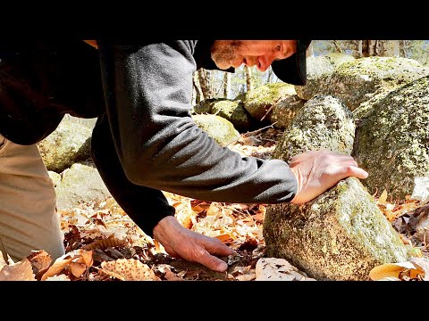 Dig where the rock walls come to a corner and you will find old stuff