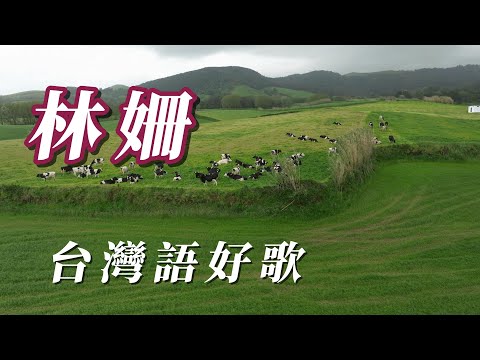 （林姍）台灣語好歌（用心分享謝謝朋友😃😃😃😃😃