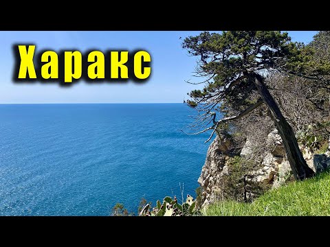 КРАСОТА этого места СРАЗУ БРОСАЕТСЯ В ГЛАЗА. Крым, посёлок Гаспра, парк Харакс, санаторий Днепр.