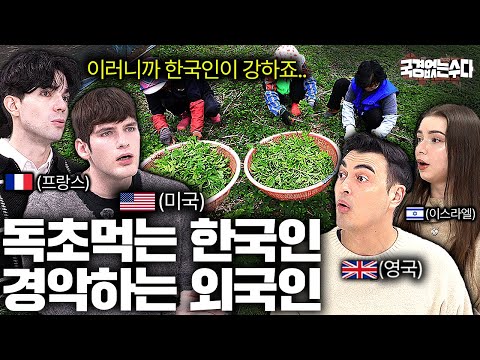 외국인들이 충격 받은 한국인들은 강할 수 밖에 없는 이유... | 국경없는 수다 EP.57
