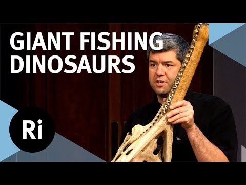 Giant fishing dinosaurs: Uncovering Spinosaurus and Baryonyx – with David Hone