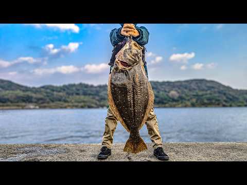 This breakwater has fish that are too big.