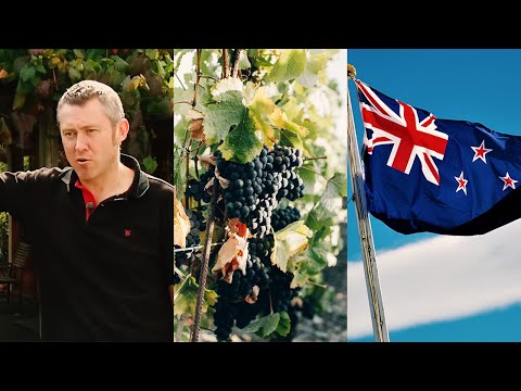 New Zealand, New World Wines