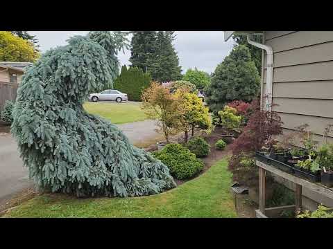 Singer Garden Spring 2023