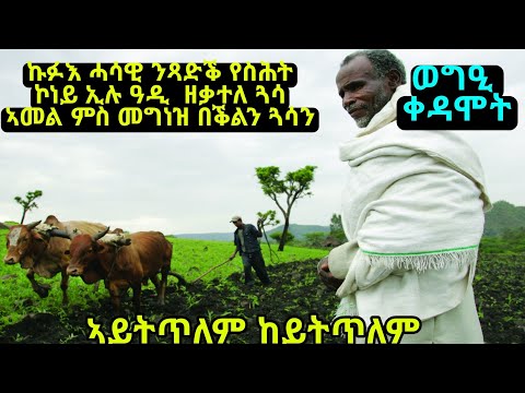 ወግዒ ቀዳሞት  ፡  ኣይትጥለም ከይትጥለም