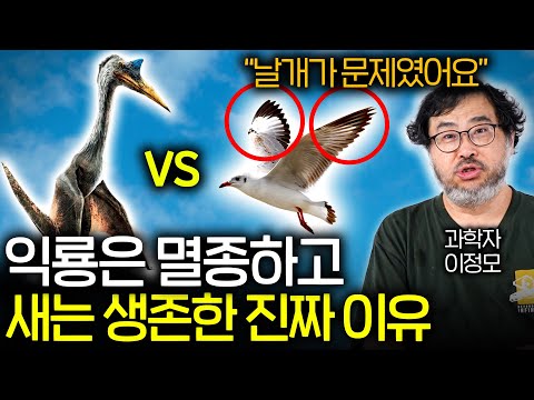 날개는 어떻게 진화했을까? (놀라운 새의 위력 ㄷㄷ)  | 과학정모 EP.2