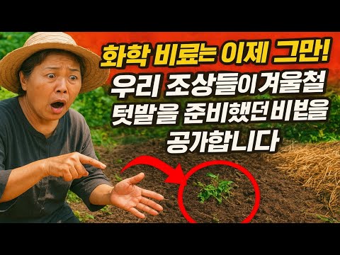 화학 비료는 이제 그만! 우리 조상들이 겨울철 텃밭을 준비했던 비법을 공개합니다. (정말 깜짝 놀라실 거예요!)