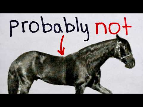Are You Smarter than a WW1 Draft Horse?