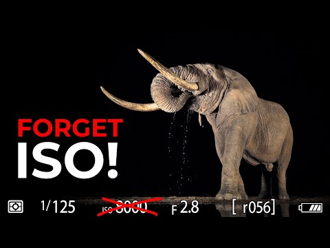 The Camera Mode That Pros Actually Use