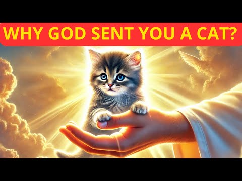 CAT - The GUARDIAN ANGEL GOD GAVE YOU?