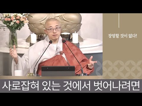 [황벽50] 자신이 사로잡혀 있는 것들에서 벗어나기, 장엄할 것이 없다, 한 물건도 없다
