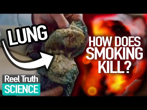 BIGGEST Consumer KILLER?: The Seduction of SMOKING | Ep 1 | Science Documentary | Reel Truth Science